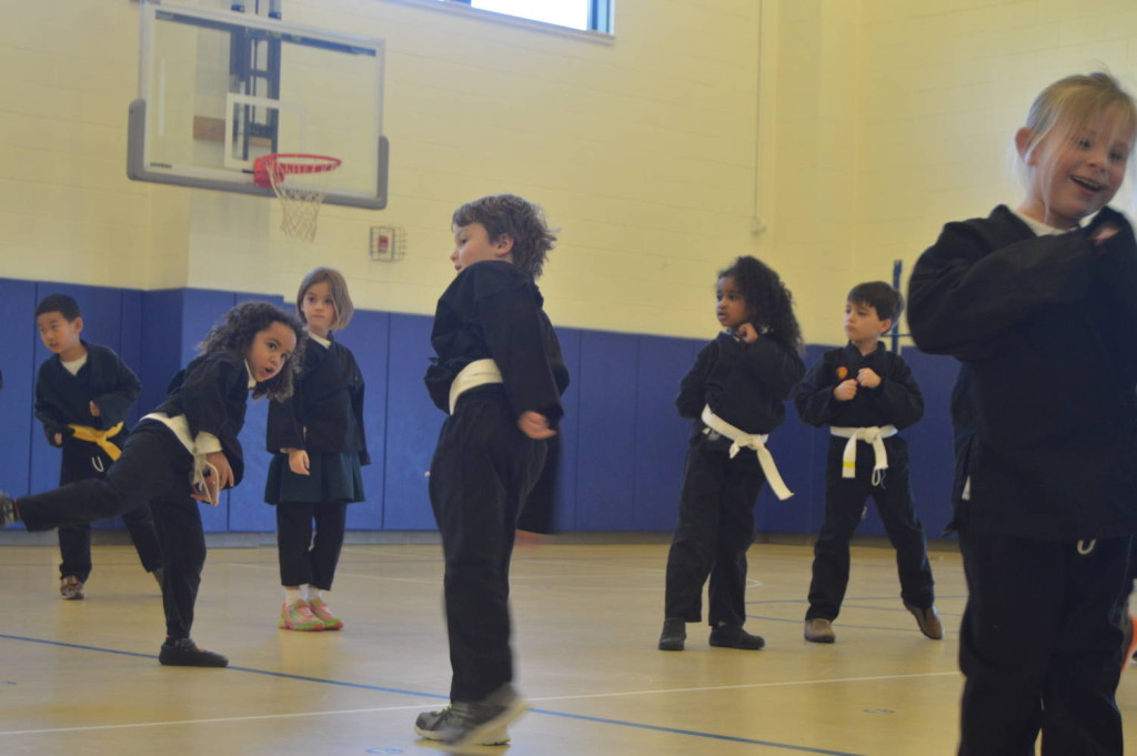 Karate 10